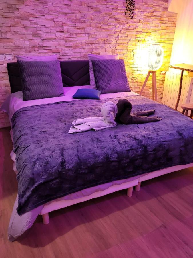 Le Spa De La Cathedrale - Jacuzzi - Sauna - Champagne - Netflix - Wifi Троа Екстериор снимка