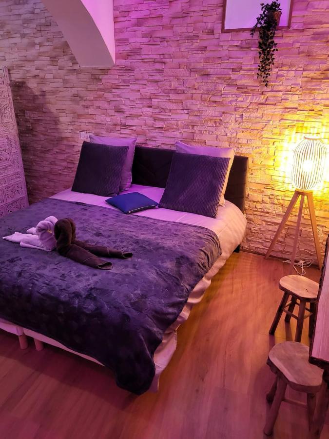 Le Spa De La Cathedrale - Jacuzzi - Sauna - Champagne - Netflix - Wifi Троа Екстериор снимка