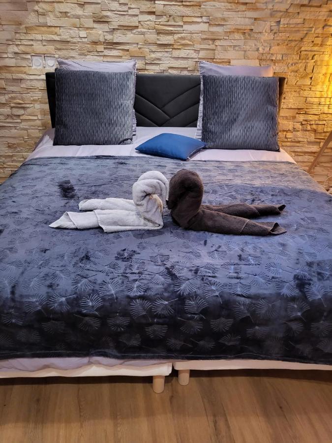 Le Spa De La Cathedrale - Jacuzzi - Sauna - Champagne - Netflix - Wifi Троа Екстериор снимка