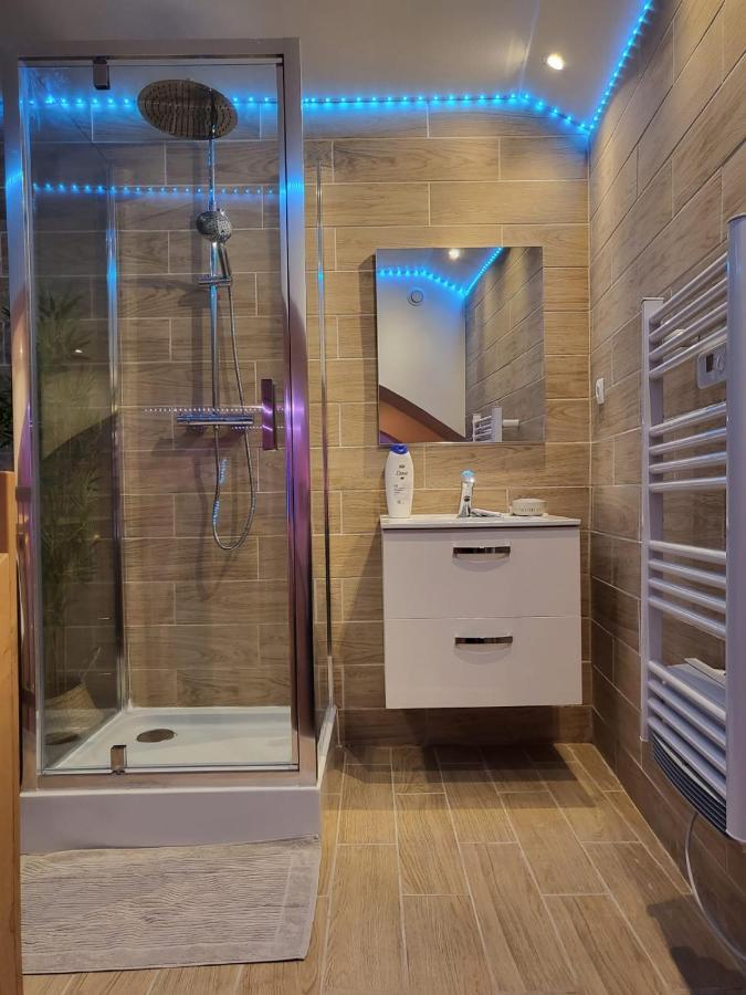 Le Spa De La Cathedrale - Jacuzzi - Sauna - Champagne - Netflix - Wifi Троа Екстериор снимка